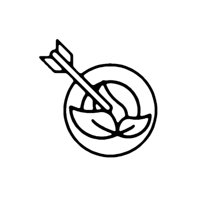 SDG focus point