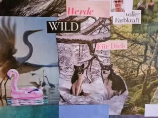 Collage Header Image