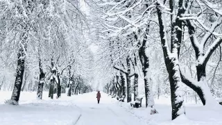 Frau im verschneiten Wald